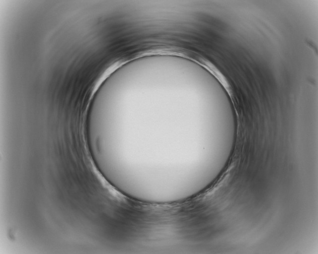 X0000095900909200801110802