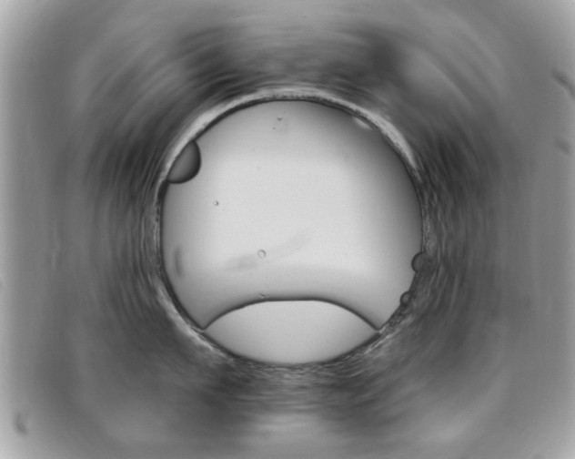 X0000095900911200801110802