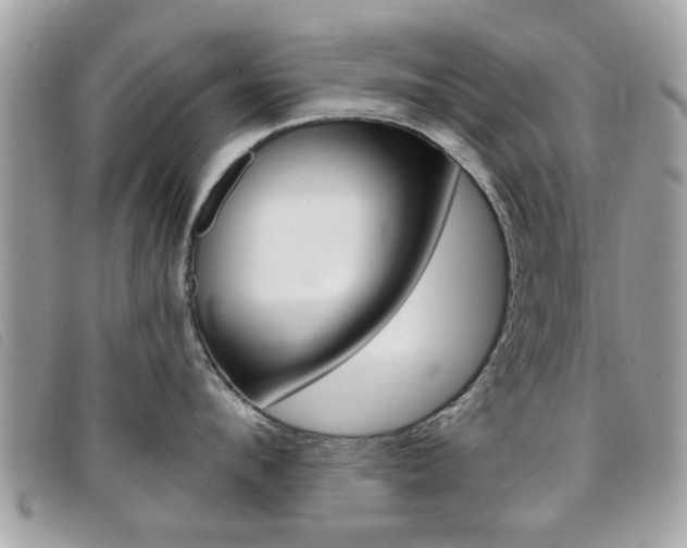 X0000095900912200801110802