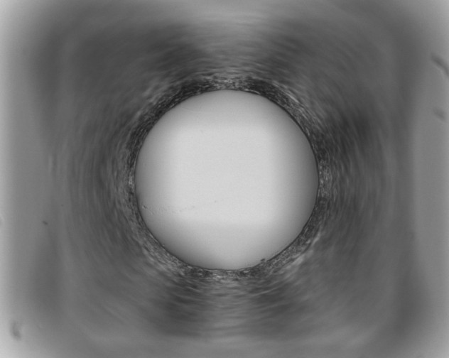 X0000095900913200801110801