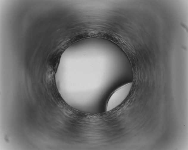 X0000095900914200801110801