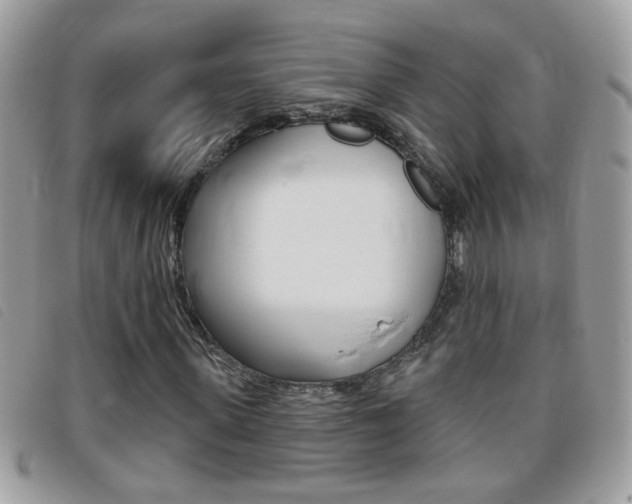 X0000095900915200801110801