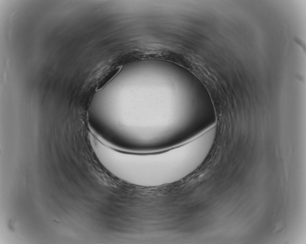 X0000095900916200801110801