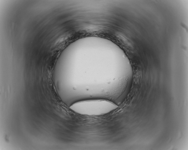 X0000095900917200801110801