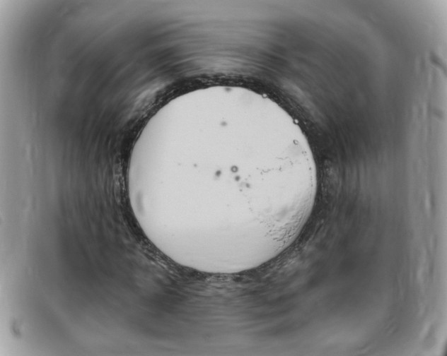 X0000095900918200801110801