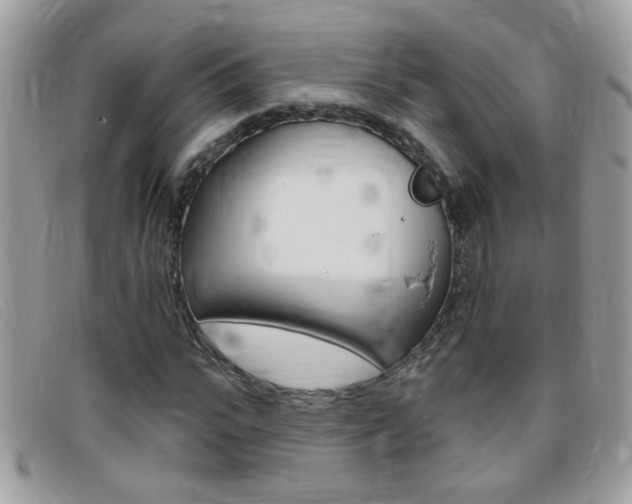 X0000095900919200801110801