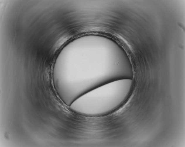 X0000095900921200801110801