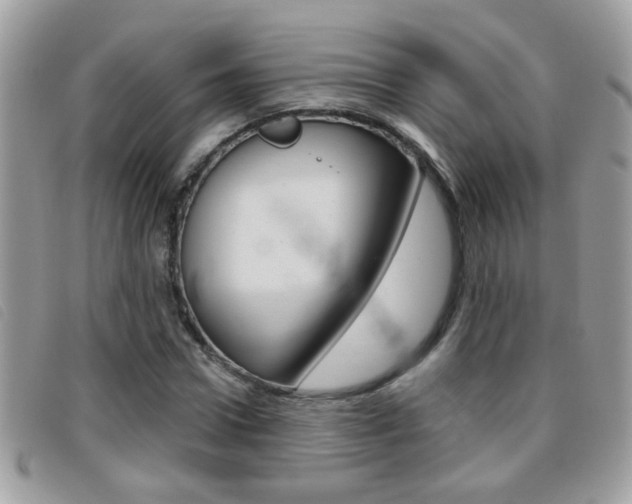 X0000095900922200801110801