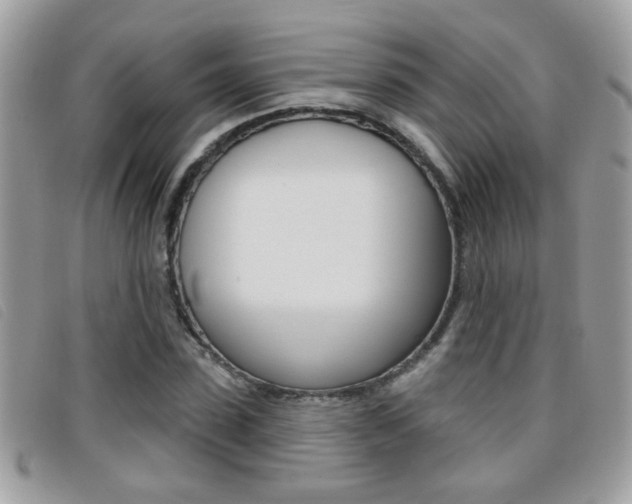 X0000095900923200801110801