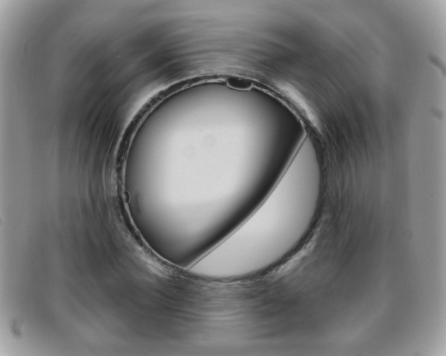 X0000095900924200801110801