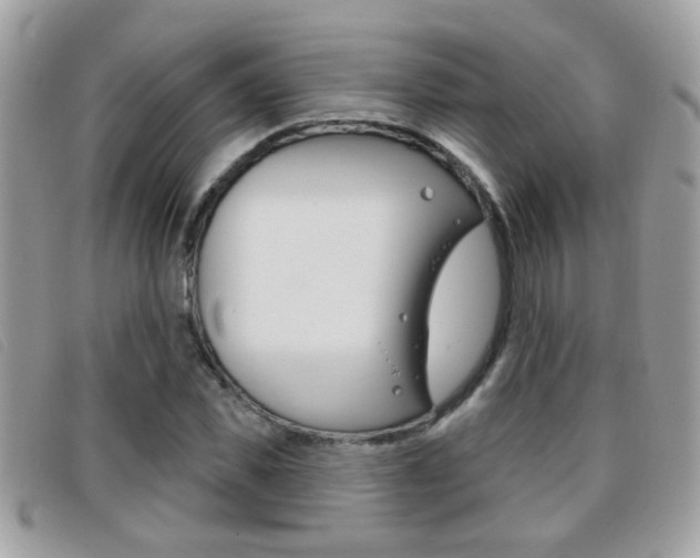 X0000095900925200801110801