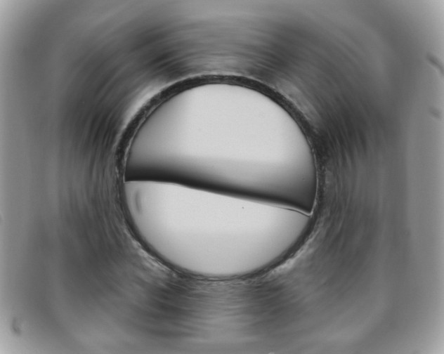 X0000095900926200801110801