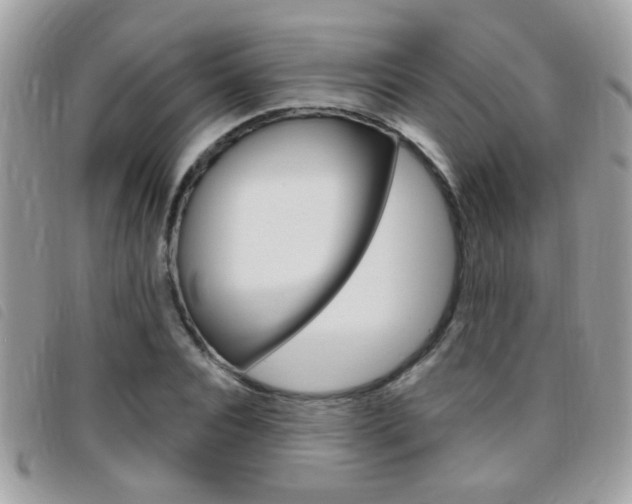 X0000095900928200801110801