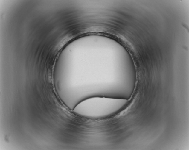 X0000095900929200801110801
