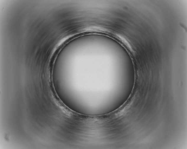 X0000095900931200801110801