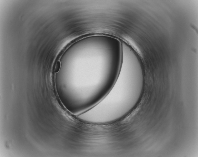X0000095900932200801110801