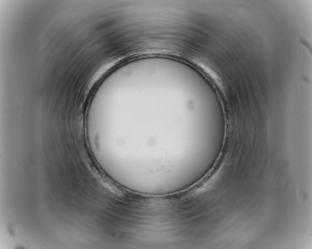 X0000095900933200801110801