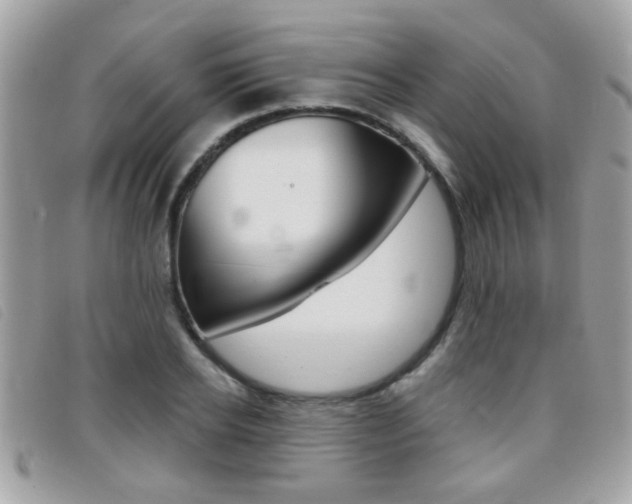 X0000095900934200801110801