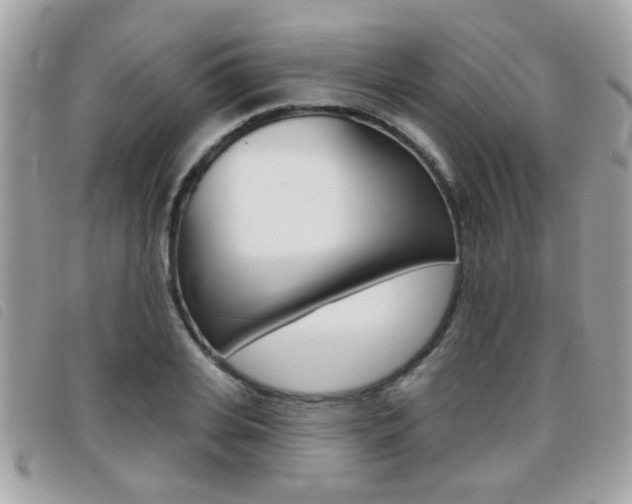 X0000095900935200801110801