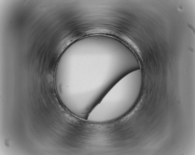 X0000095900937200801110801