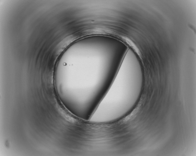 X0000095900938200801110801