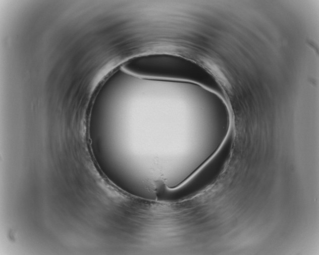 X0000095900944200801110802