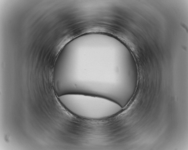 X0000095900945200801110802