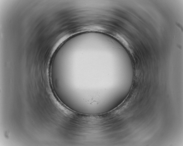 X0000095900947200801110802