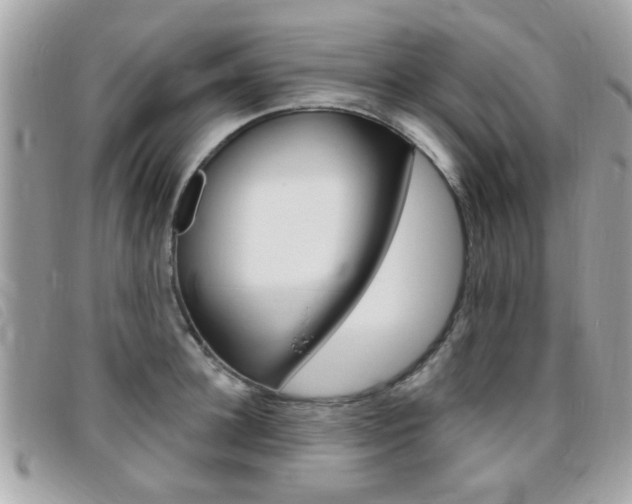 X0000095900948200801110802