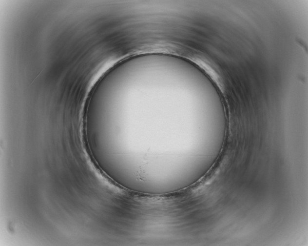 X0000095900949200801110802