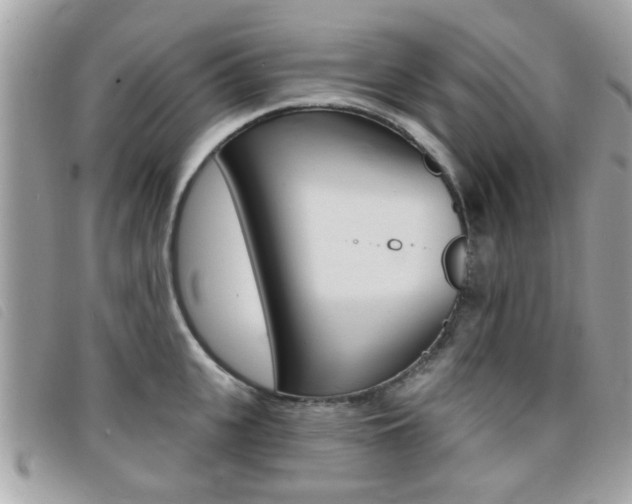 X0000095900951200801110802