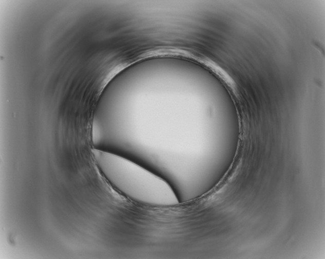 X0000095900953200801110802