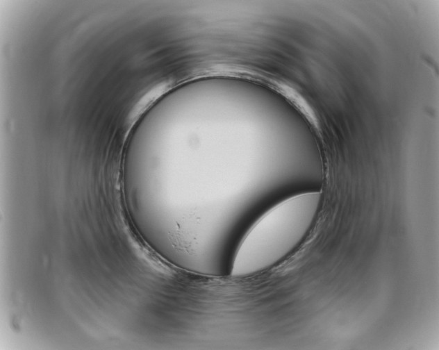 X0000095900954200801110802