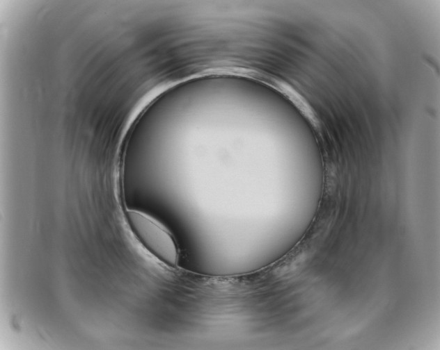 X0000095900955200801110802