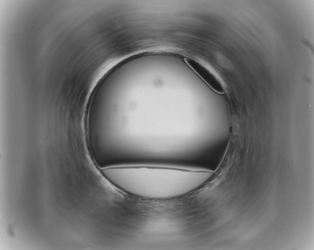 X0000095900959200801110802