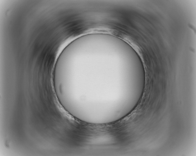 X0000095900960200801110802