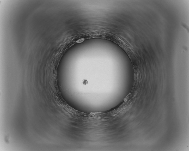 X0000095900961200801110801