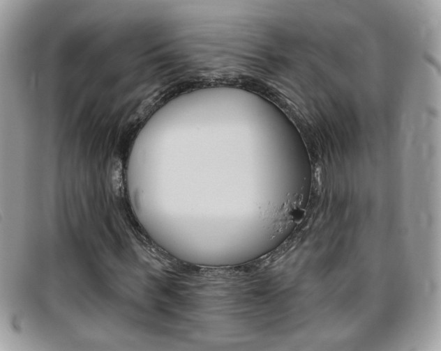 X0000095900963200801110801
