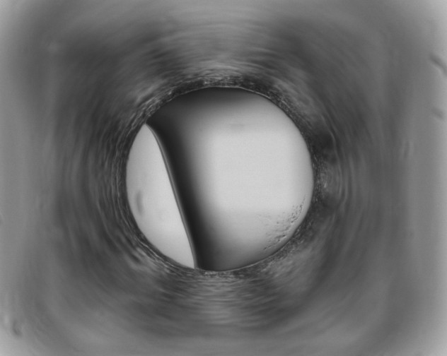 X0000095900964200801110801