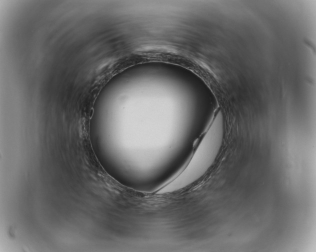X0000095900965200801110801