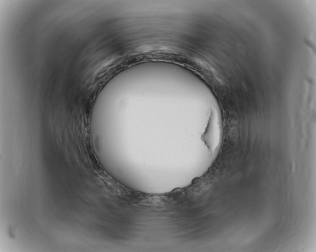 X0000095900966200801110801