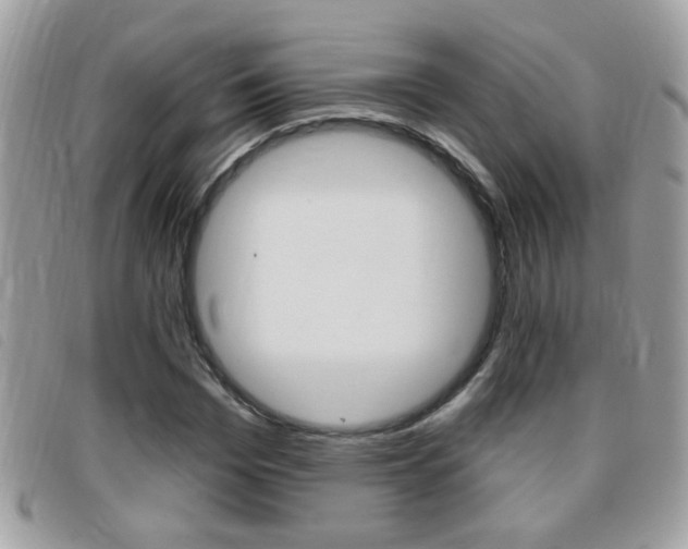 X0000095900969200801110801