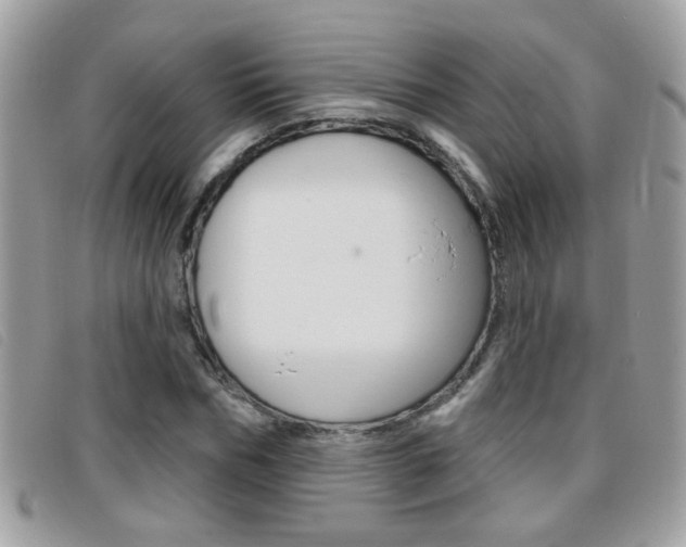 X0000095900970200801110801