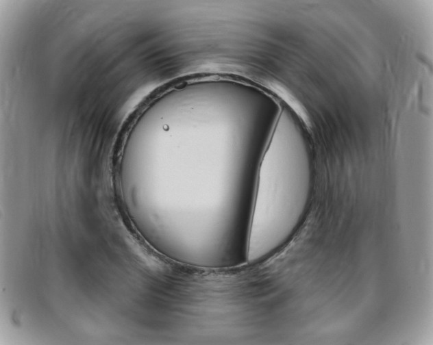 X0000095900972200801110801