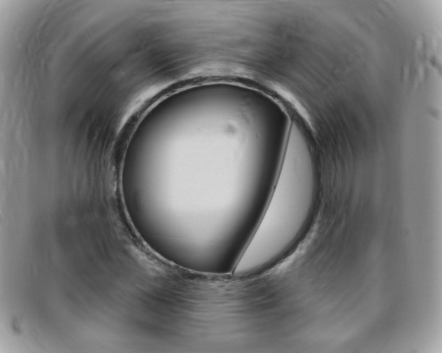 X0000095900973200801110801