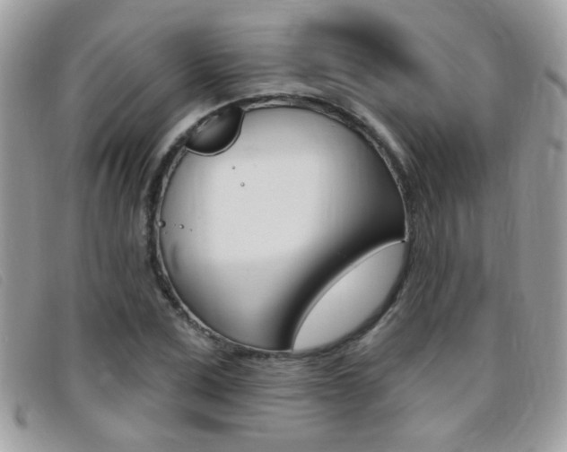 X0000095900975200801110801