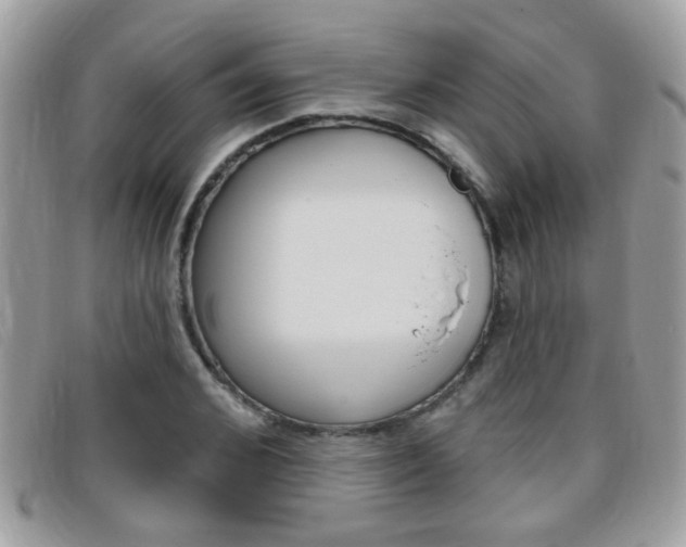 X0000095900976200801110801