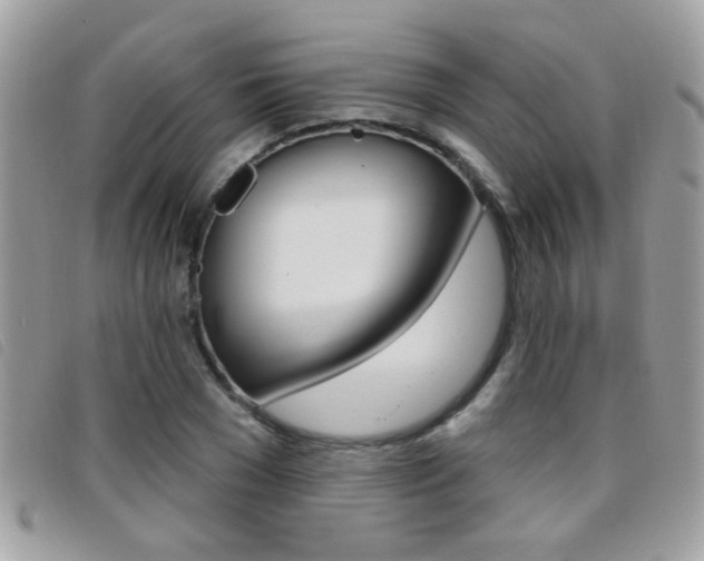 X0000095900977200801110801