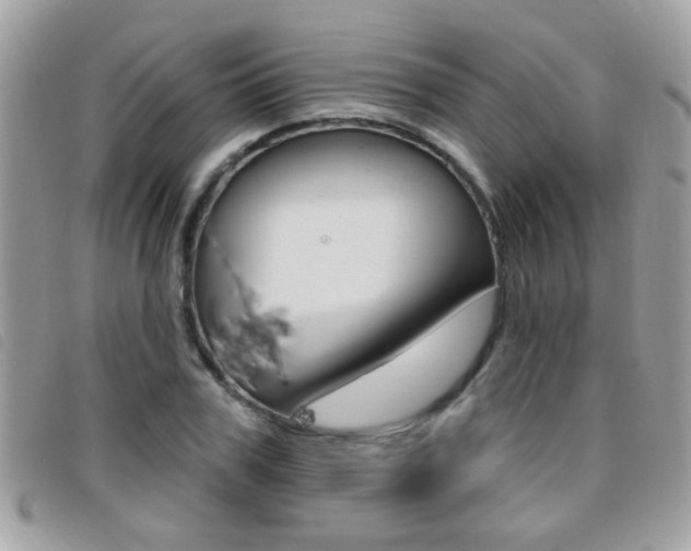 X0000095900979200801110801