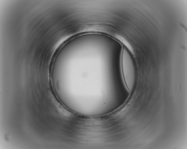 X0000095900980200801110801